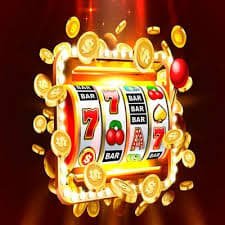 667bet3